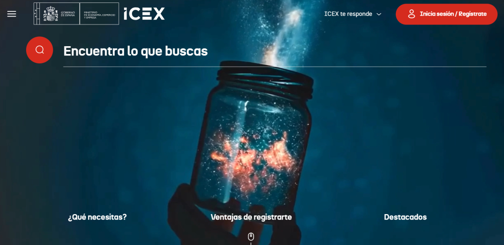 imagen de una página web